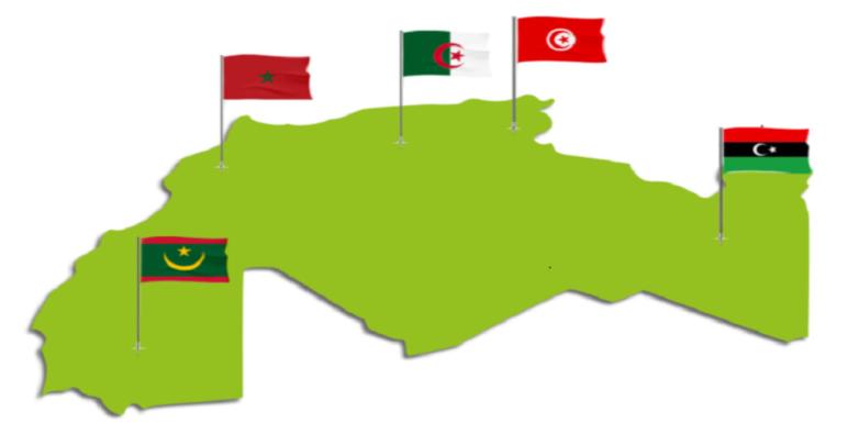 المغرب من بين أكبر مستوردي القمح في العالم(فاو)