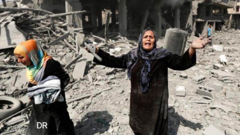توجيه تحذير للاتحاد الأوروبي لعدم منعه الإبادة الجماعية في غزة